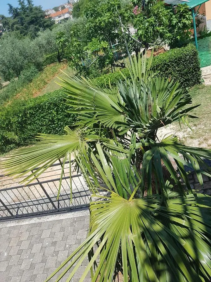 Apartment Mit Balkon Porec